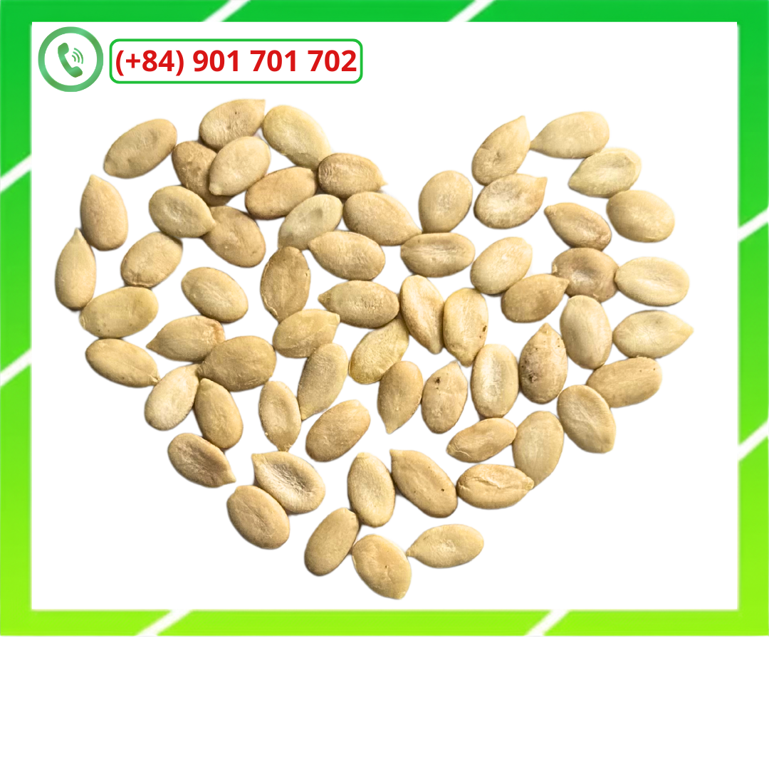 Kỹ thuật sử dụng hạt dưa tách vỏ trong sản xuất bánh Trung Thu