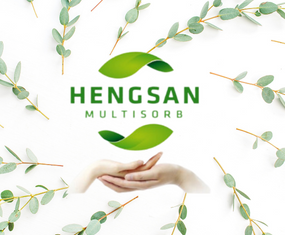 [HENGSAN VIETNAM] - The leading of Oxygen absorber, Moisture absorber